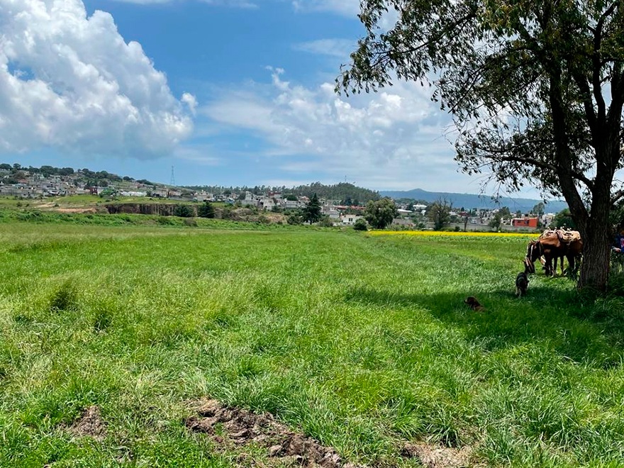 casas en venta en Pachuca